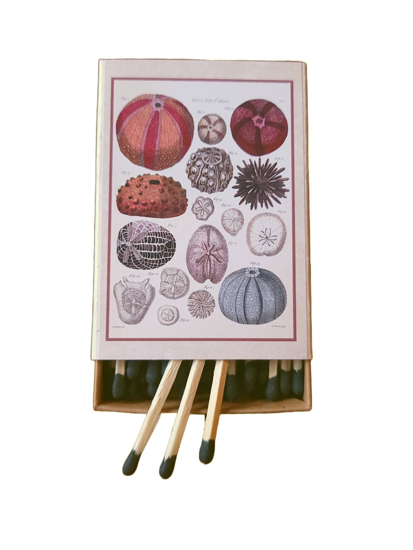 "Seashells" Handmade Decorator Matchbox Lot, Beach, Ocean