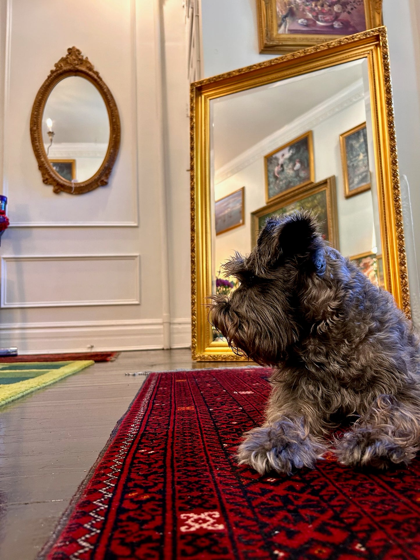 Large Decorative Gilt Wall Mirror