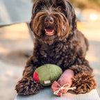 Olive + SALAMI//ENRICHMENT DOG TOY