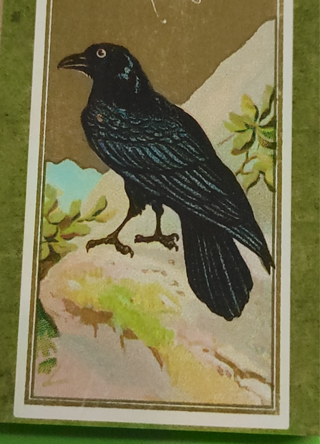 "Edgar Allan Poe" Handmade Decorator Matchbox Lot