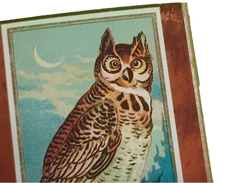 "Edgar Allan Poe" Handmade Decorator Matchbox Lot