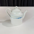 Richard Ginori Blue Flower Tea Set