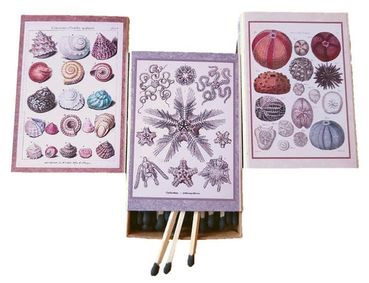 "Seashells" Handmade Decorator Matchbox Lot, Beach, Ocean