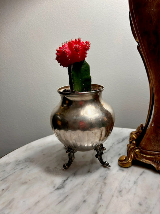 Petite Silver Footed Planter