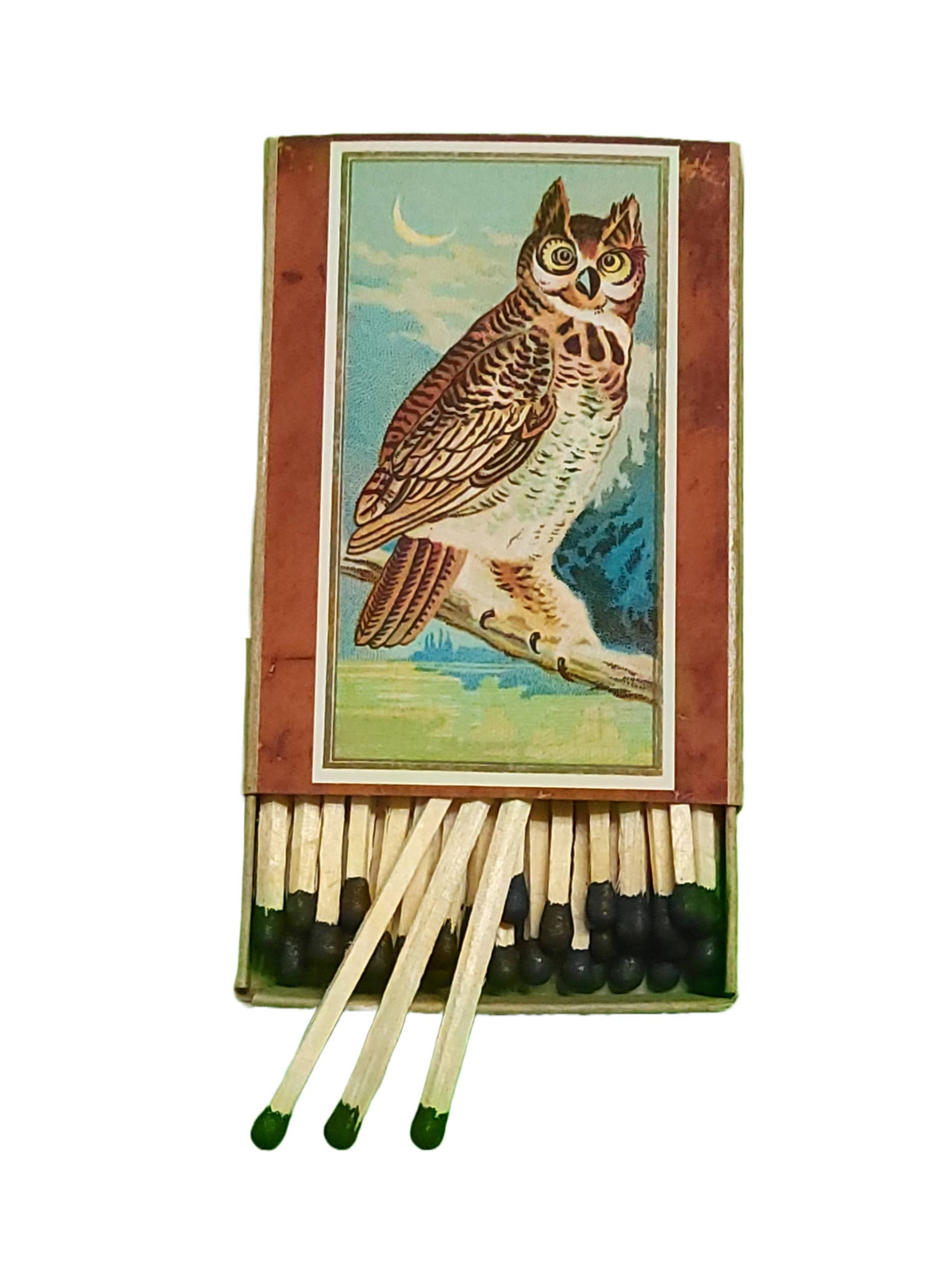 "Edgar Allan Poe" Handmade Decorator Matchbox Lot