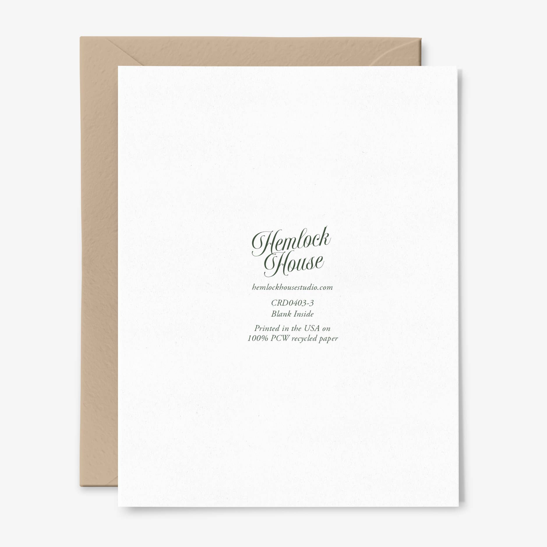 Mister Champagne | Congratulations Card | Bubbly | Vintage